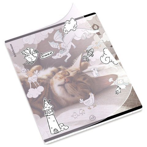 Тетрадь обложка пластик, А5 48л. скоба, клетка, ErichKrause, Dream Cat (микс в спайке, 54161