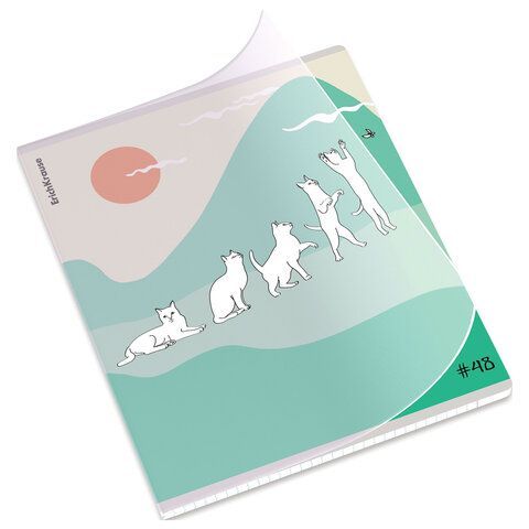 Тетрадь обложка пластик, А5 48л. скоба, клетка, ErichKrause, Cat Day (микс в спайке),, 54159