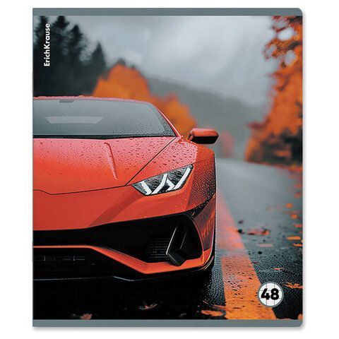 Тетрадь обложка пластик, А5 48л. скоба, клетка, ErichKrause, Rain Drive (микс в спайк, 63377