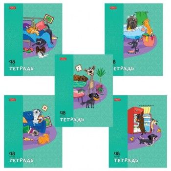 Тетрадь А5 48л. HATBER 5 шт. скоба, клетка, обложка картон, Dog mafia (микс в спайке), 48Т5, 48Т5В1