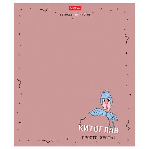 Тетрадь А5 48л. HATBER 5 шт. скоба, клетка, матовая ламинация, Необычные герои (микс в спай, 48Т5лтВ1