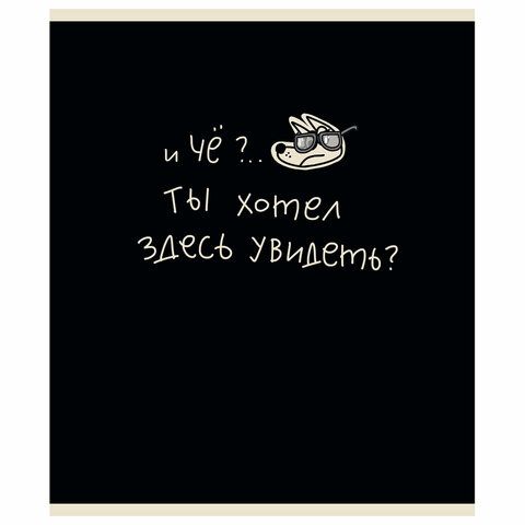 Тетрадь А5 48л. ПЗБМ 5 шт. скоба, клетка, матовая ламинация, брайль, Тетрадь подписана (микс в ПУ), 23447