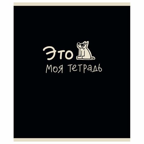Тетрадь А5 48л. ПЗБМ 5 шт. скоба, клетка, матовая ламинация, брайль, Тетрадь подписана (микс в ПУ), 23447