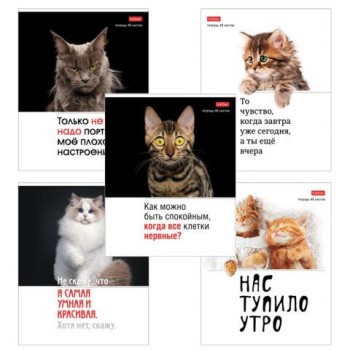 Тетрадь А5 48л. HATBER 10 шт. скоба, клетка, обложка картон, Котоюмор (микс в спайке), 079790, 48Т5В1