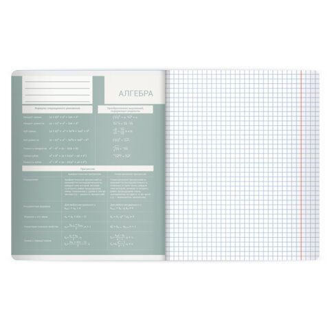 Тетрадь предметная MonoPastel 48л, пластиковая обложка, АЛГЕБРА, клетка, подсказ, BRAUBERG 20 шт., 405501