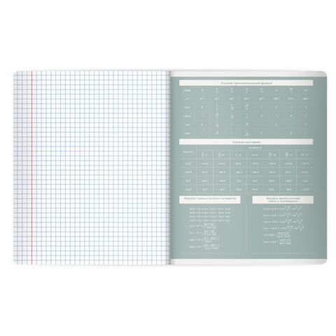 Тетрадь предметная MonoPastel 48л, пластиковая обложка, АЛГЕБРА, клетка, подсказ, BRAUBERG 20 шт., 405501