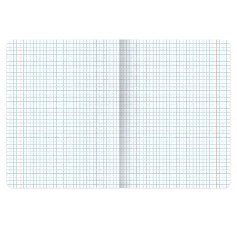 Тетрадь предметная MonoPastel 48л, пластиковая обложка, ОБЩЕСТВОЗНАНИЕ, клетка, подсказ, BRAUBERG 20 шт., 405502