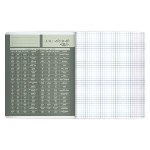 Тетрадь предметная MonoPastel 48л, пластиковая обложка, АНГЛИЙСКИЙ ЯЗЫК, клетка, подсказ, BRAUBERG 20 шт., 405503
