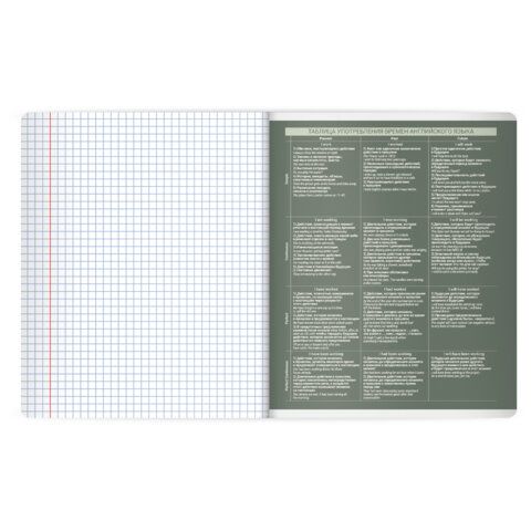 Тетрадь предметная MonoPastel 48л, пластиковая обложка, АНГЛИЙСКИЙ ЯЗЫК, клетка, подсказ, BRAUBERG 20 шт., 405503