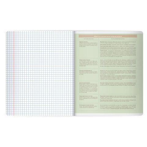 РЕЗЕРВ Тетрадь предметная MonoPastel 48л, пластиковая обложка, БИОЛОГИЯ, клетка, подсказ, BRAUBERG 20 шт., 405504