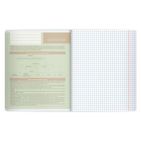 РЕЗЕРВ Тетрадь предметная MonoPastel 48л, пластиковая обложка, БИОЛОГИЯ, клетка, подсказ, BRAUBERG 20 шт., 405504