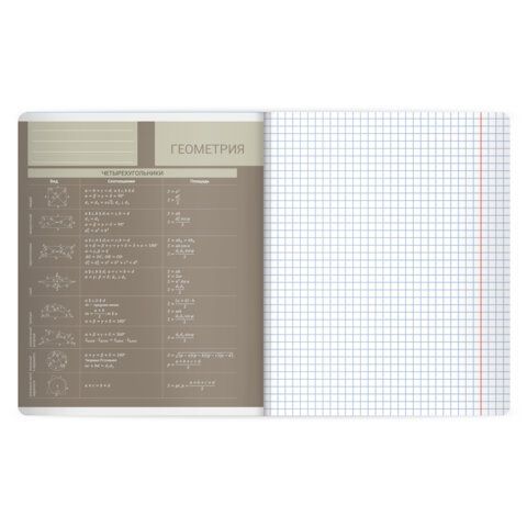 Тетрадь предметная MonoPastel 48л, пластиковая обложка, ГЕОМЕТРИЯ, клетка, подсказ, BRAUBERG 20 шт., 405506