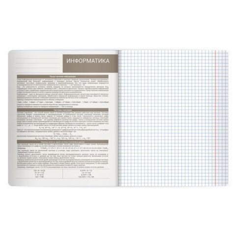 Тетрадь предметная MonoPastel 48л, пластиковая обложка, ИНФОРМАТИКА, клетка, подсказ, BRAUBERG 20 шт., 405507