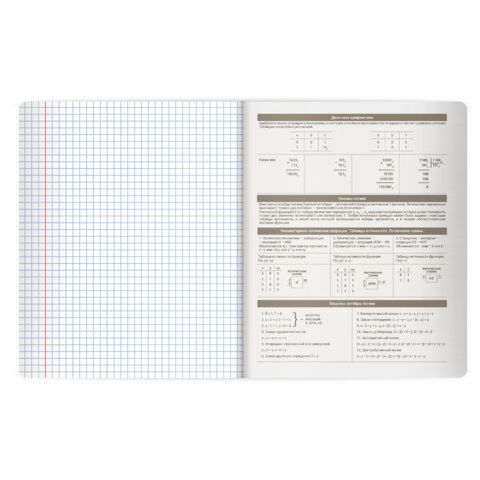 Тетрадь предметная MonoPastel 48л, пластиковая обложка, ИНФОРМАТИКА, клетка, подсказ, BRAUBERG 20 шт., 405507