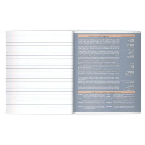 Тетрадь предметная MonoPastel 48л, пластиковая обложка, ЛИТЕРАТУРА, линия, подсказ, BRAUBERG 20 шт., 405509