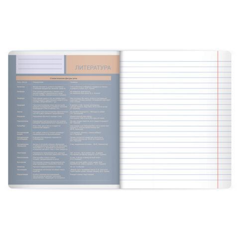 Тетрадь предметная MonoPastel 48л, пластиковая обложка, ЛИТЕРАТУРА, линия, подсказ, BRAUBERG 20 шт., 405509