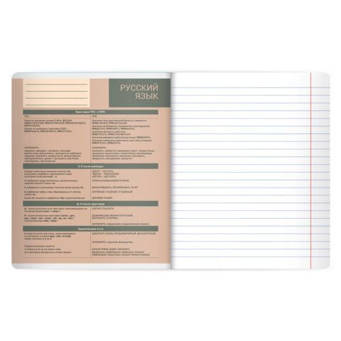 Тетрадь предметная MonoPastel 48л, пластиковая обложка, РУССКИЙ ЯЗЫК, линия, подсказ, BRAUBERG 20 шт., 405510