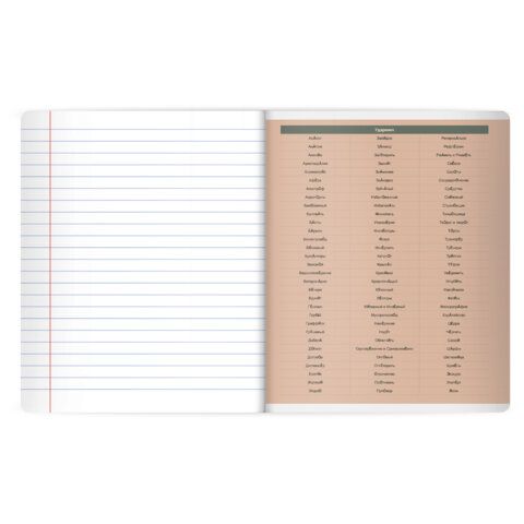 Тетрадь предметная MonoPastel 48л, пластиковая обложка, РУССКИЙ ЯЗЫК, линия, подсказ, BRAUBERG 20 шт., 405510