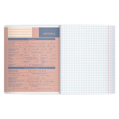 Тетрадь предметная MonoPastel 48л, пластиковая обложка, ФИЗИКА, клетка, подсказ, BRAUBERG 20 шт., 405511