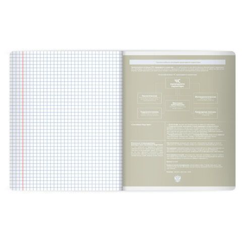 Тетрадь предметная MonoPastel 48л, пластиковая обложка, ОБЗР, клетка, подсказ, BRAUBERG 20 шт., 405513