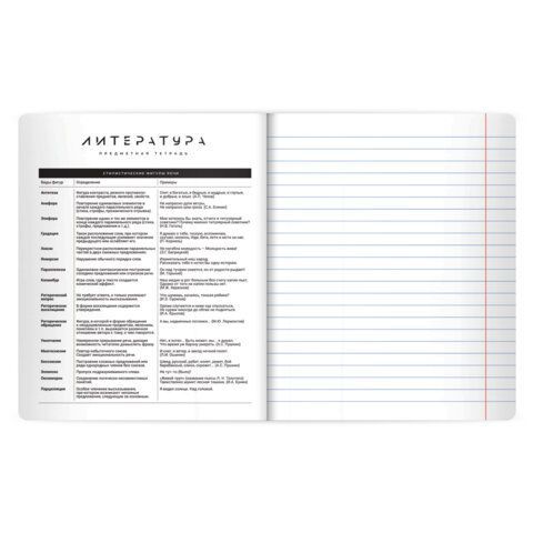 Тетрадь предметная BLACK MODE 48л, пластиковая обложка, ЛИТЕРАТУРА, линия, подсказ, BRAUBERG 20 шт., 405522