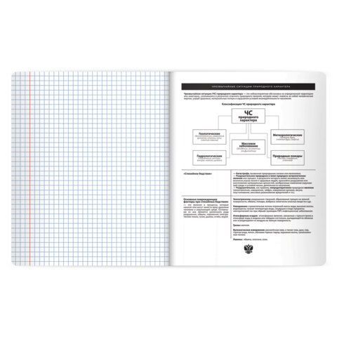 Тетрадь предметная BLACK MODE 48л, пластиковая обложка, ОБЗР, клетка, подсказ, BRAUBERG 20 шт., 405526