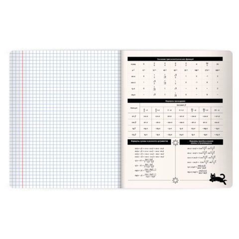 Тетрадь предметная КОТ-НЕПОСЕДА 48л, пластиковая обложка, АЛГЕБРА, клетка, подсказ, BRAUBERG 20 шт., 405527