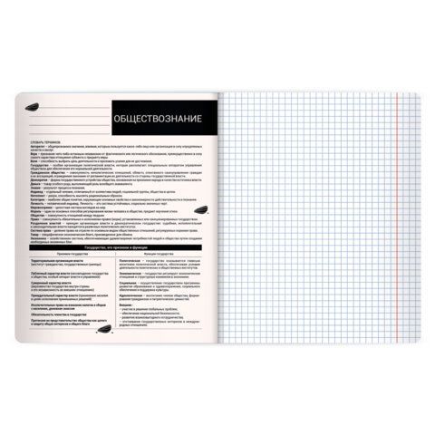 Тетрадь предметная КОТ-НЕПОСЕДА 48л, пластиковая обложка, ОБЩЕСТВОЗНАНИЕ, клетка, подсказ, BRAUBERG 20 шт., 405528