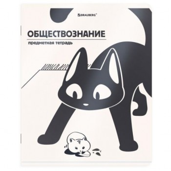 Тетрадь предметная КОТ-НЕПОСЕДА 48л, пластиковая обложка, ОБЩЕСТВОЗНАНИЕ, клетка, подсказ, BRAUBERG 20 шт., 405528