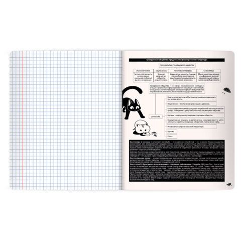 Тетрадь предметная КОТ-НЕПОСЕДА 48л, пластиковая обложка, ОБЩЕСТВОЗНАНИЕ, клетка, подсказ, BRAUBERG 20 шт., 405528