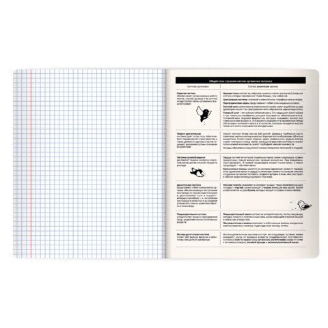 Тетрадь предметная КОТ-НЕПОСЕДА 48л, пластиковая обложка, БИОЛОГИЯ, клетка, подсказ, BRAUBERG 20 шт., 405530