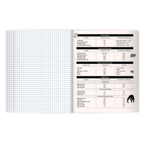 Тетрадь предметная КОТ-НЕПОСЕДА 48л, пластиковая обложка, ГЕОГРАФИЯ, клетка, подсказ, BRAUBERG 20 шт., 405531