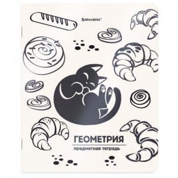 Тетрадь предметная КОТ-НЕПОСЕДА 48л, пластиковая обложка, ГЕОМЕТРИЯ, клетка, подсказ, BRAUBERG 20 шт., 405532