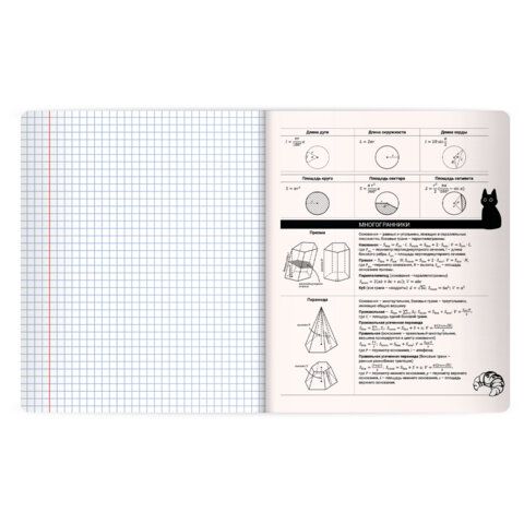 Тетрадь предметная КОТ-НЕПОСЕДА 48л, пластиковая обложка, ГЕОМЕТРИЯ, клетка, подсказ, BRAUBERG 20 шт., 405532