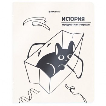 Тетрадь предметная КОТ-НЕПОСЕДА 48л, пластиковая обложка, ИСТОРИЯ, клетка, подсказ, BRAUBERG 20 шт., 405534