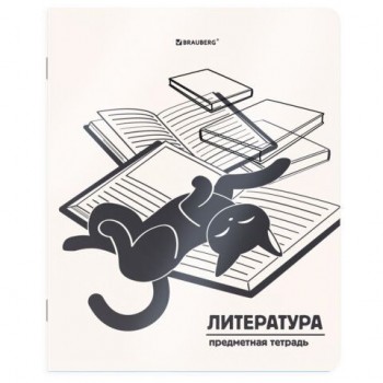 Тетрадь предметная КОТ-НЕПОСЕДА 48л, пластиковая обложка, ЛИТЕРАТУРА, линия, подсказ, BRAUBERG 20 шт., 405535