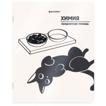 Тетрадь предметная КОТ-НЕПОСЕДА 48л, пластиковая обложка, ХИМИЯ, клетка, подсказ, BRAUBERG 20 шт., 405538