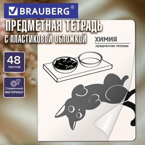 Тетрадь предметная КОТ-НЕПОСЕДА 48л, пластиковая обложка, ХИМИЯ, клетка, подсказ, BRAUBERG 20 шт., 405538