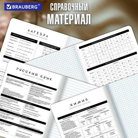Тетради предметные, КОМПЛЕКТ 12 ПРЕДМЕТОВ 48л, пластиковая обложка, BRAUBERG "BLACK MODE", 405541