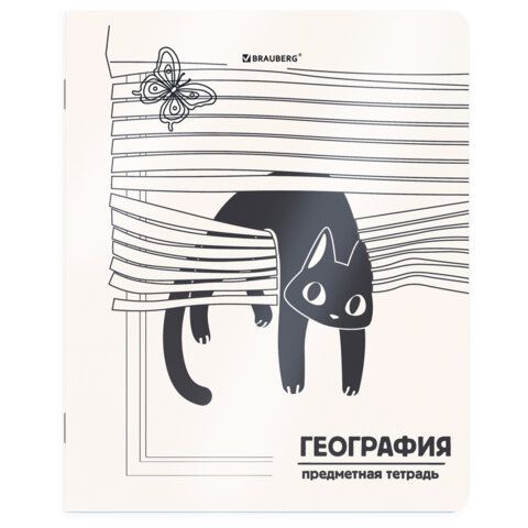 Тетради предметные, КОМПЛЕКТ 12 ПРЕДМЕТОВ 48л, пластиковая обложка, BRAUBERG "КОТ-НЕПОСЕДА", 405542