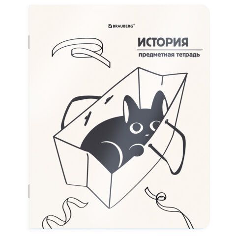 Тетради предметные, КОМПЛЕКТ 12 ПРЕДМЕТОВ 48л, пластиковая обложка, BRAUBERG "КОТ-НЕПОСЕДА", 405542