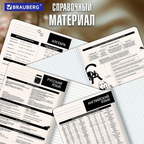 Тетради предметные, КОМПЛЕКТ 12 ПРЕДМЕТОВ 48л, пластиковая обложка, BRAUBERG "КОТ-НЕПОСЕДА", 405542