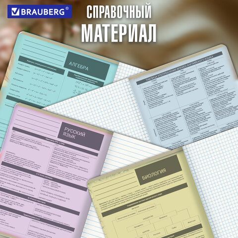 Тетради предметные, КОМПЛЕКТ 12 ПРЕДМЕТОВ 48л, пластиковая обложка, BRAUBERG "PURE NATURE", 405543
