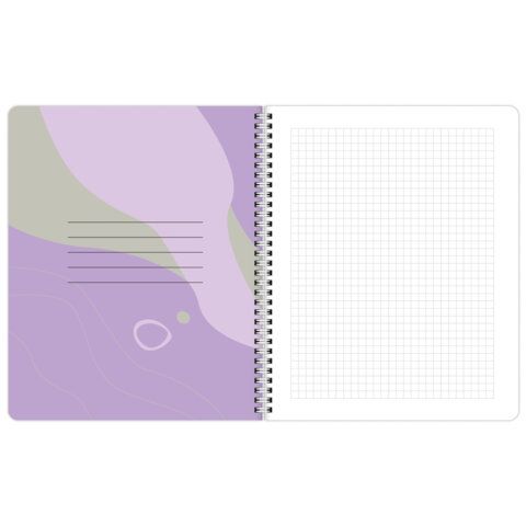 Тетради ДЭК А5 48 л. КОМПЛЕКТ 4 шт., BRAUBERG, гребень, клетка, 80 г/м2, SoftTouch, Minimal, 405579