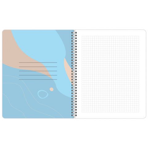 Тетради ДЭК А5 48 л. КОМПЛЕКТ 4 шт., BRAUBERG, гребень, клетка, 80 г/м2, SoftTouch, Minimal, 405579