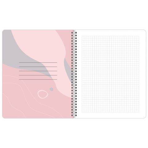 Тетради ДЭК А5 48 л. КОМПЛЕКТ 4 шт., BRAUBERG, гребень, клетка, 80 г/м2, SoftTouch, Minimal, 405579