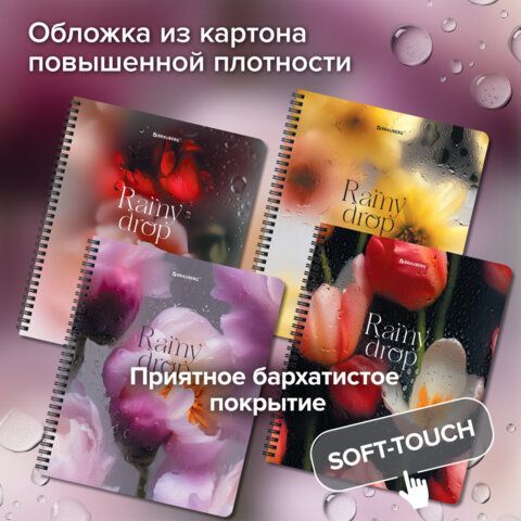 Тетради ДЭК А5 48 л. КОМПЛЕКТ 4 шт., BRAUBERG, гребень, клетка, 80 г/м2, SoftTouch, Aesthetics, 405580