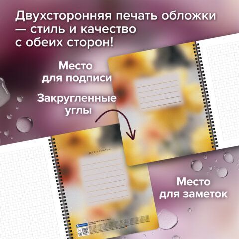 Тетради ДЭК А5 48 л. КОМПЛЕКТ 4 шт., BRAUBERG, гребень, клетка, 80 г/м2, SoftTouch, Aesthetics, 405580