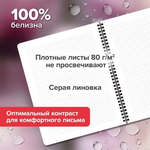 Тетради ДЭК А5 48 л. КОМПЛЕКТ 4 шт., BRAUBERG, гребень, клетка, 80 г/м2, SoftTouch, Aesthetics, 405580