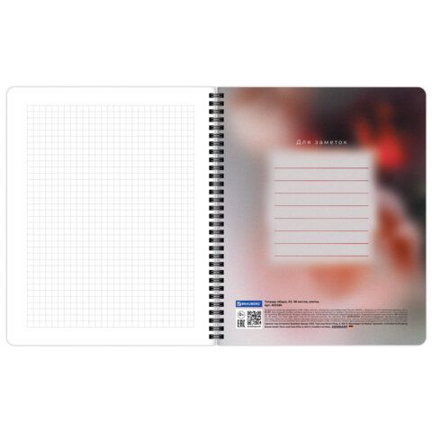 Тетради ДЭК А5 48 л. КОМПЛЕКТ 4 шт., BRAUBERG, гребень, клетка, 80 г/м2, SoftTouch, Aesthetics, 405580